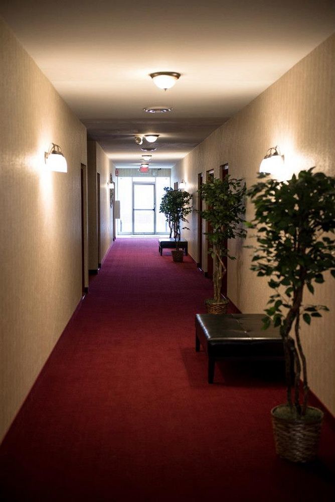 Pacer Inn & Suites Motel Delaware Exteriör bild